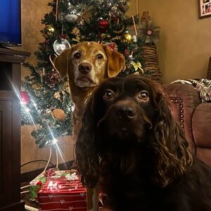 Meet your Posher, Tekoa